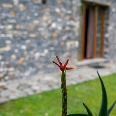 Villa Collina E Mare à Camogli Extérieur photo