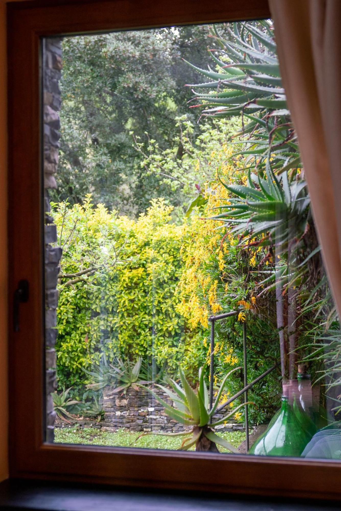 Villa Collina E Mare à Camogli Extérieur photo